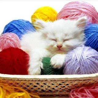 Telegram profile photo for Crochê & artes amigurumis