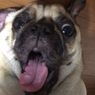 Telegram group profile photo for valsii chat