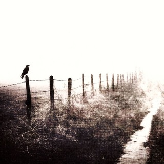 Telegram profile photo for 𝐒𝖍𝖎𝖙 𝐇𝖊𝖆𝖉𝖘