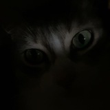 Telegram profile photo for โน ๐ณ๐พ๐ ๐ ๐ก๐พ๐ช๐ฌ๐ โบ