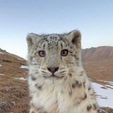 Telegram profile photo for Мотины приколы и картинки