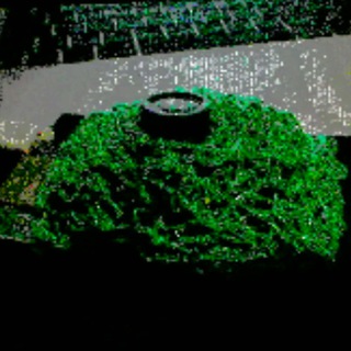 Telegram profile photo for wakamecam