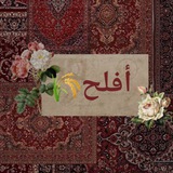 Telegram profile photo for Афлаха🌾