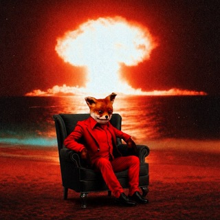 Telegram profile photo for DictatorCrypto