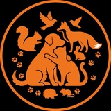 Telegram profile photo for Шаг в Счастливую Жизнь