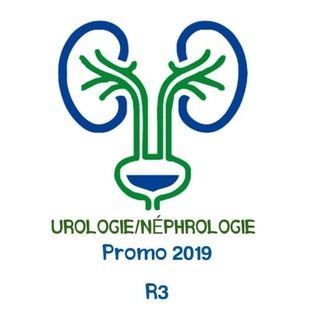 Telegram profile photo for Néphrologie/Urologie