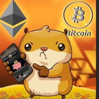 Telegram profile photo for Кроты-Хомяки 🍀