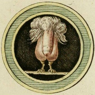 Telegram profile photo for НИКИО им. Д. И. Ржевского