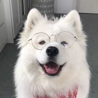 Telegram profile photo for лоты от эвни