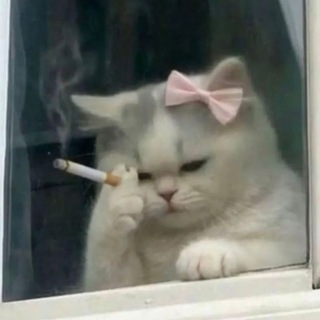 Telegram profile photo for you👤🚬