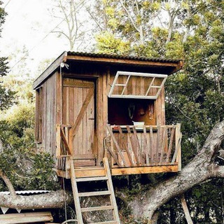 Telegram profile photo for Hiraymanto's treehouse