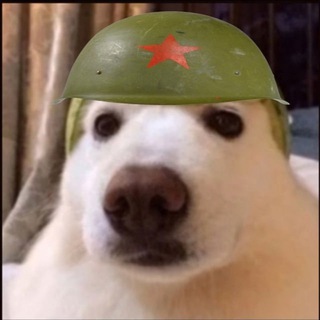 Telegram profile photo for GydokSquad > Переходник