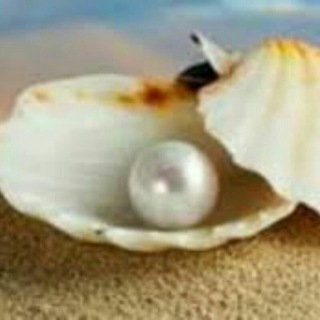 Telegram profile photo for صیادان معنی