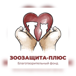 Telegram profile photo for «Зоозащита - плюс» г. Серпухов