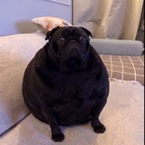 Telegram profile photo for qqq