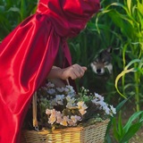 Telegram profile photo for بوح صيعرية