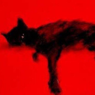 Telegram profile photo for ུ᪼ᮀ໊⃧᷼ꪆܵۜ⃜𑪍⵿ ︎︎ 〭〭ʾ𐇽۫ׄ𝒜࣪ᥣᥣƚ࣪ᥴִꪮꭉꫀະ ִ𐇽⃜፝ܵۜ𐨆