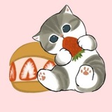 Telegram profile photo for Paym @Cemaranya 's