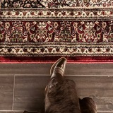 Telegram profile photo for الحصّ المـنقّى
