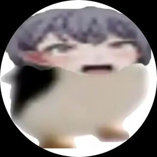 Telegram profile photo for 五等分反馈频道