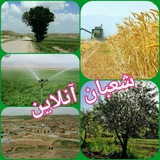 Telegram profile photo for شعبان آنلاین