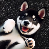 Telegram profile photo for $NEIGRO PORTAL