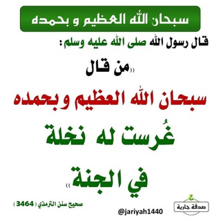 Telegram profile photo for نخلة في الجنة