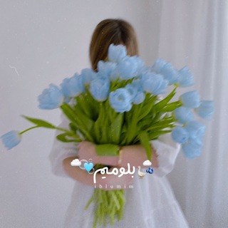 Telegram profile photo for |بلومیم|🐋