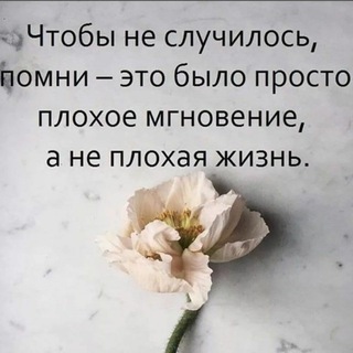 Telegram group profile photo for Цветы и природа❤❤
