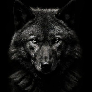 Telegram profile photo for ATA
