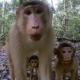 Telegram profile photo for Suzuki36