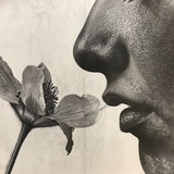 Telegram profile photo for Смелые носики