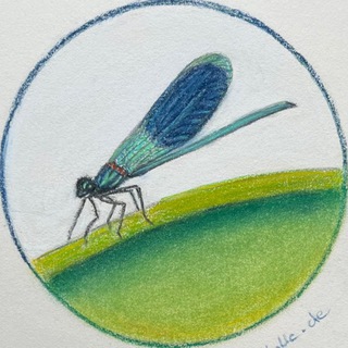 Telegram profile photo for Prachtlibelle