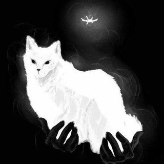 Telegram profile photo for Fanous.rap