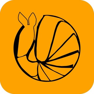 Telegram profile photo for Tuzinho Academy