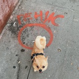Telegram profile photo for фотки счётчиков