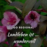 Telegram profile photo for Unser Landleben - go regional