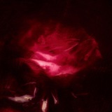 Telegram profile photo for 𝓁ℯ 𝒿𝒶𝓇𝒹𝒾𝓃 𝒹ℯ ℳ𝒶𝒹𝒶𝓂ℯ ℛℴ𝓈𝒾ℯ
