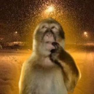 Telegram profile photo for берлога монгола