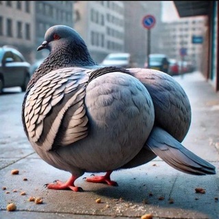 Telegram group profile photo for Вологда геи