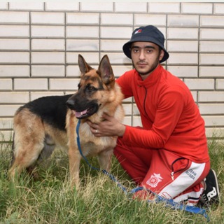 Telegram profile photo for Белый Клык 09