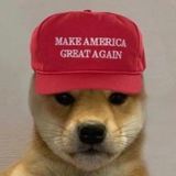 Telegram profile photo for WIFM portal
