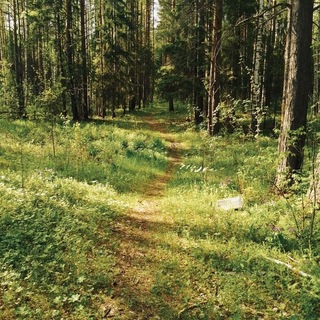 Telegram profile photo for заморожен