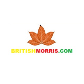 Telegram profile photo for Britishmorris.com