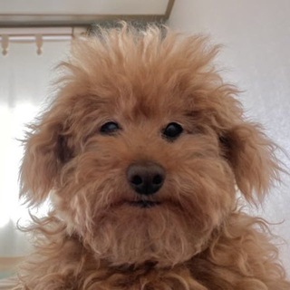 Telegram profile photo for пю чй