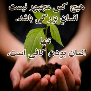 Telegram profile photo for 💎تبادلات حمایتی معتبر الی💎