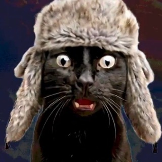 Telegram profile photo for Как назвать канал