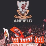 Telegram profile photo for Liverpool Status | Liverpool | Liverpool fc