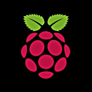 Telegram profile photo for Raspberry Pi