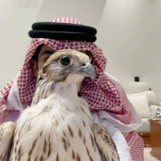 Telegram profile photo for سجّه .
